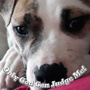 Meet your Posher, Janice